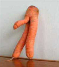 carrot-penis.jpg